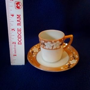 Vintage Teacup and Saucer